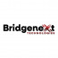 Bridgenext Technologies LLC logo